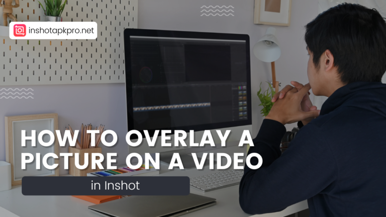 How to Overlay a Picture on a video in InShot